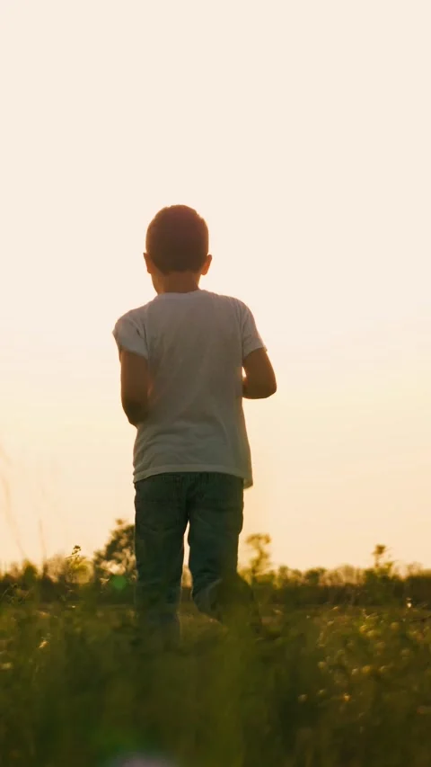 Boy son child running grass son sun sunset field park playground joyful happy Stock Footage 297935771