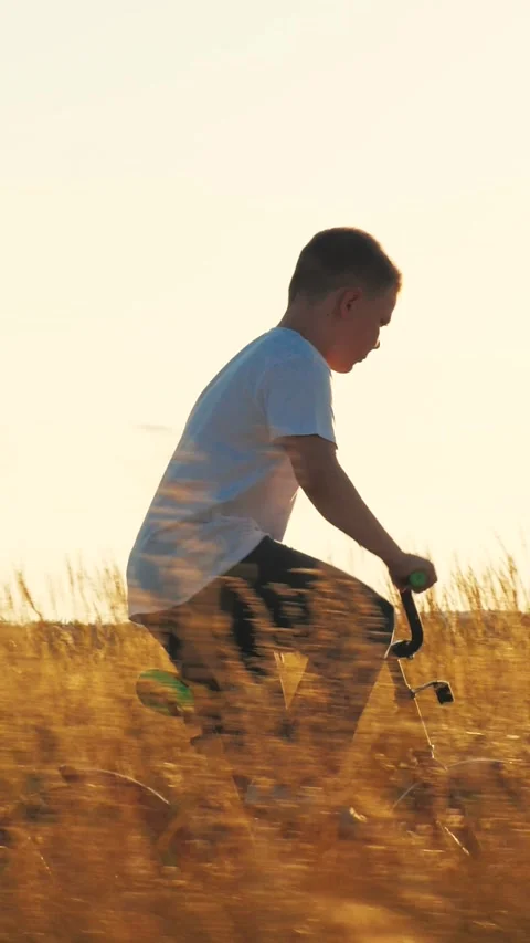 Boy son legs are pedaling bicycle, child rolling bicycle sunset, happy family Stock Footage 297937003