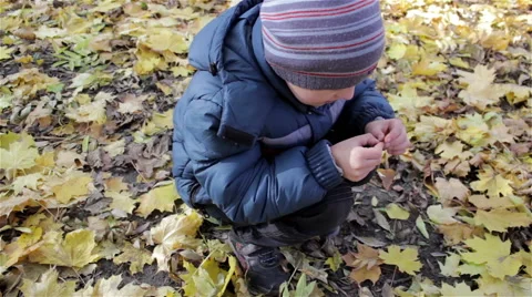 Boy squatted down in the autumn forest Stock-Footage 63154298