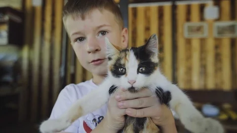 The boy squeezes kitty Stock Footage 94347061