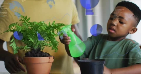 Boy squeezing spray bottle, father steadying clay pot, blue charts overlaying, 動画素材 332288984