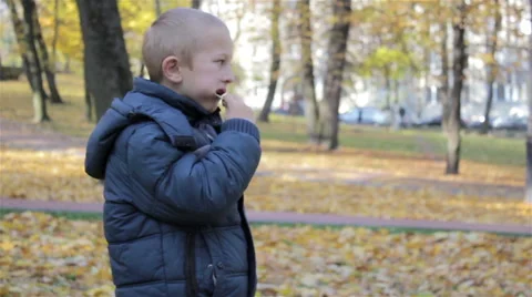 Boy standing in autumn park Stock Footage 63200285