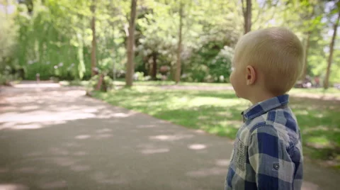 Boy standing in park Stock Footage 64453485