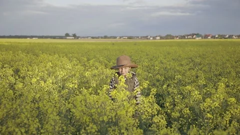 Boy standing in the rapeseed field and looking at you Video stock 130242743