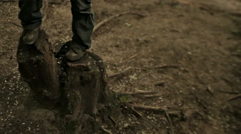 BOY STANDING ON THE STUMP Stock Footage 68755581