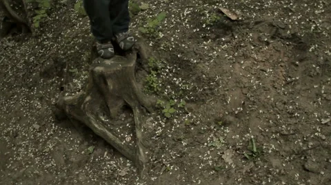 BOY STANDING ON THE STUMP Stock Footage 68755603