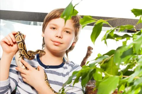 Boy stands with Ball python against reptile house Stock-Fotos