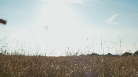 Boy starting paper plane as symbol of freedom and inspiration Stock Footage 129423089