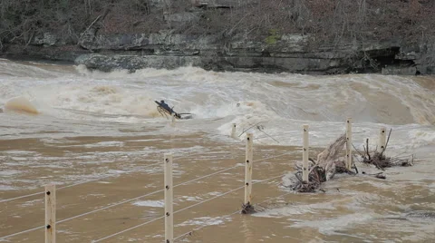 Boy Stranded on Log in the Middle of Raging Flash Flood Stock Footage 61413173