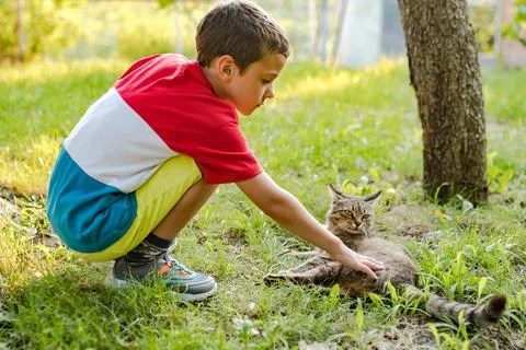 A boy strokes a defocused cat in the yard Stock Photos