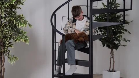 A boy strokes a small brown poodle and enjoys his friend. A toy poodle rejoices Stock Footage 272796010
