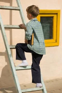 Boy studying book Stock-Fotos