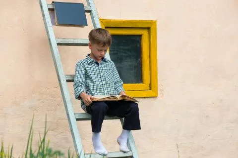 Boy studying book Stock Photos