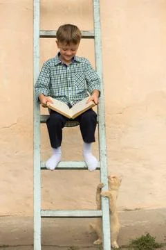 Boy studying book Stock Photos