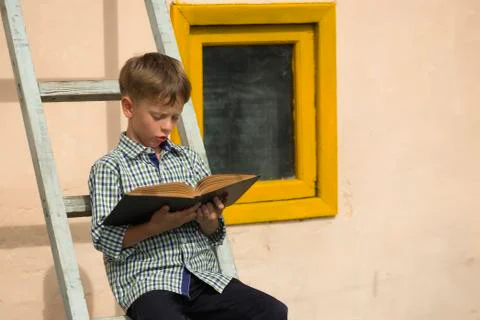 Boy studying book Stock Photos