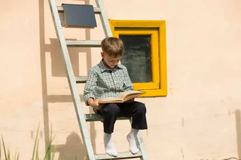 Boy studying book Stock Photos