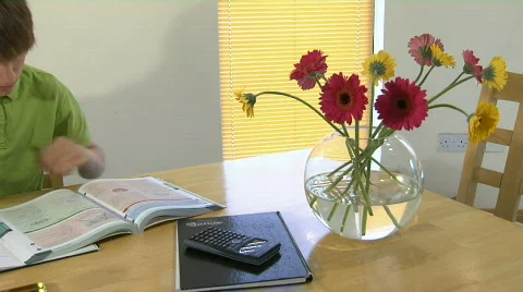 Boy studying Video stock 735302