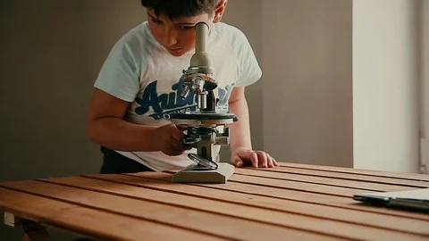 The boy is studying the microobject Stock Footage 75559137