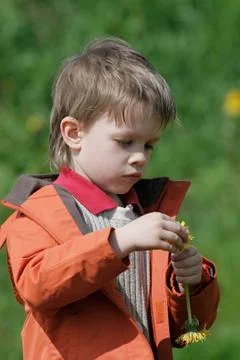 Boy in summer day. Stock Photos