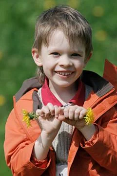Boy in summer day. Stock Photos
