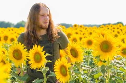 Boy at sunflowers field Stock Photos