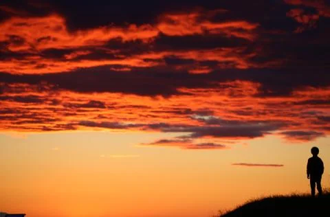 Boy in sunset 스톡 사진