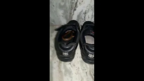 Boy survives after being bitten by baby cobra hiding in his shoe Video stock 106315301