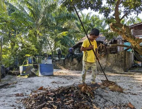 A boy is sweeping up garbage in his yard Stock Photos
