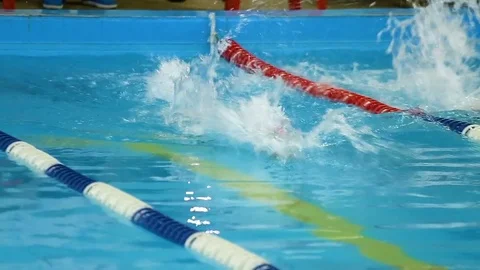 Boy swims backstroke on pool lane, back view Stock Footage 75663814