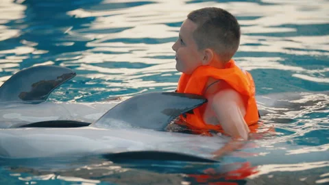 Boy swims with dolphins Stock Footage 113820022
