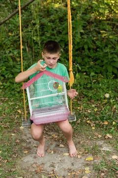 Boy on swing holding a birdcage with two small birds. Stock Photos