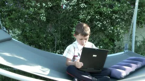 Boy on a swing with a laptop Stock Footage 11286279