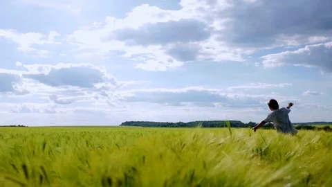 The boy swings his hands and whirl on the green wheat field Stockbeeldmateriaal 78332753
