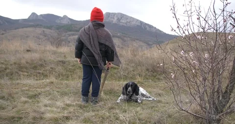 Boy with a sword and a dog looking at the mountains Stock Footage 88398986