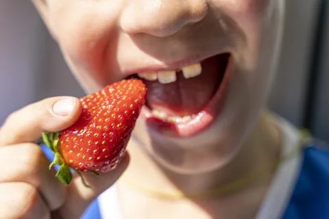 Boy takes a bite out of a red strawberry berry 库存照片