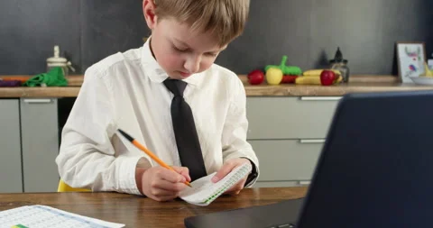 Boy takes notes in notebook and types on laptop reviewing papers Stockbeeldmateriaal 314722200