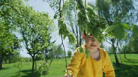 Boy taking leaves from a tree Stock Footage 100003013
