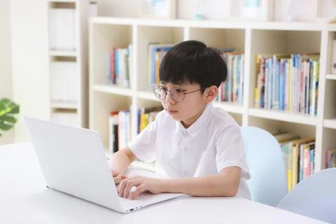 Boy taking video lessons via internet online with laptop Stock Photos