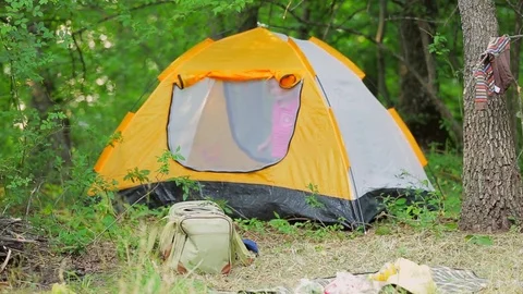 A boy in a tent in the forest Stock Footage 74307121