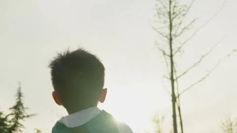 Boy Throwing Paper Airplane Into Sky With Trees Vídeos de archivo 339074976