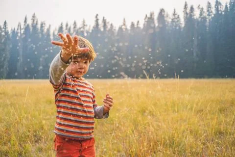 Boy throwing seeds in a field Stock Photos