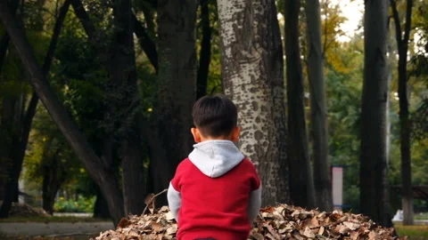 The Boy Throws The Dry Leaves Video stock 103854483