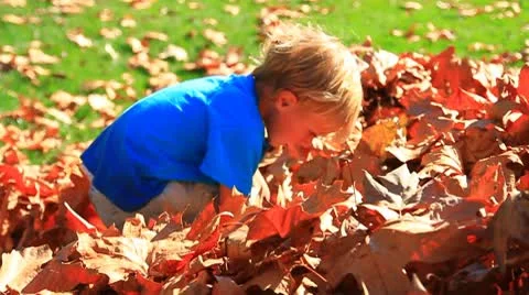 Boy throws Fall leave2s-MVI 6420 Stock Footage 9277491