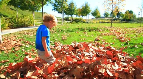 Boy throws Fall leaves-MVI 6420 Stock Footage 9278657
