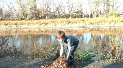 Boy Throws Leaves into Air Stockbeeldmateriaal 12571943