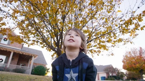 Boy throws leaves into the air while facing camera Video stock 93888873