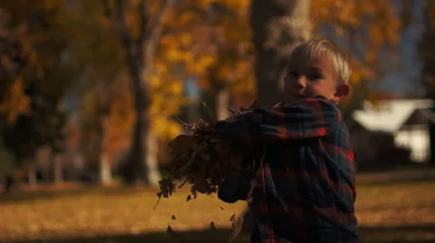 Boy Throws Leaves at Camera Video stock 50299271