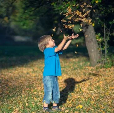 Boy throws leaves Фото