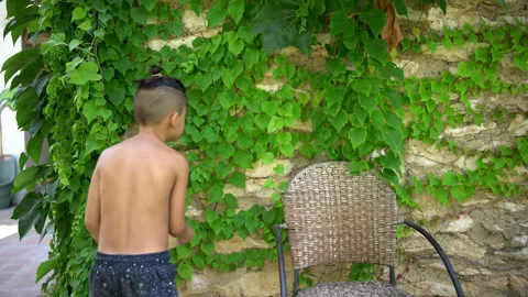 Boy Touches Stone Wall Covered in Ivy Stock Footage 345618296