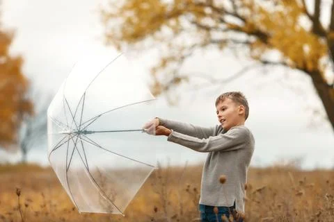 Boy with a transparent umbrella Stock Photos